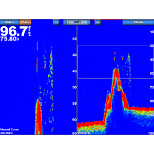 GSD24 Advanced Sonar Module43