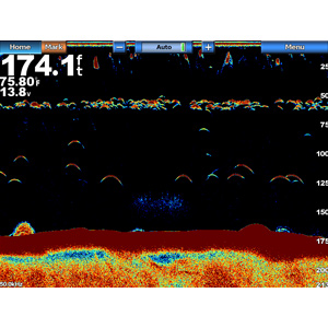 GSD24 Advanced Sonar Module_4