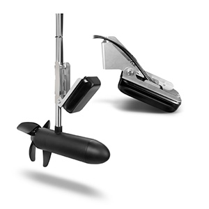 Panoptix_x2122_PS31